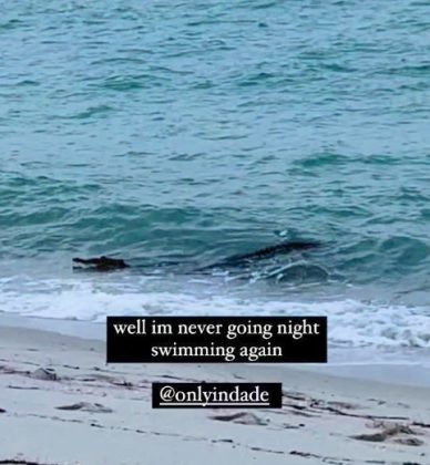 Capturado en vídeo, el reptil se refrescaba en las aguas, generando una mezcla de asombro y humor en las redes sociales. (Foto: Captura de tela / Instagram)