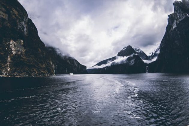 "Es como el yeti o el pie grande. Un ser enorme que reside en las profundidades del océano y sobre el cual poco se sabe", reveló Kirsten Young. (Foto: Pexels)