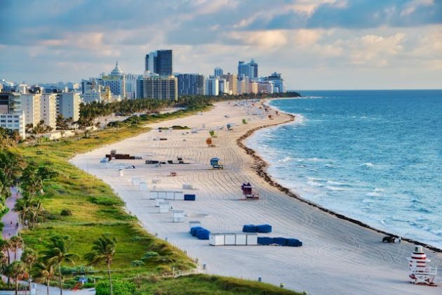 Algunos usuarios celebraron la diversidad de la fauna en Florida, mientras que otros expresaron preocupación por la nueva amenaza. (Foto: Pexels)