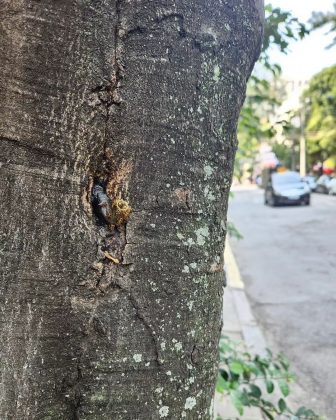 Los triángulos son efectivos, pero no tan económicos como los hexágonos. (imagen: Instagram)