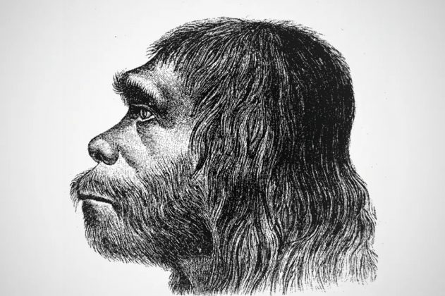 Los neandertales poseían cerebros grandes, herramientas avanzadas y ritos funerarios, pero no lograron sobrevivir. (Foto: Reprodução)